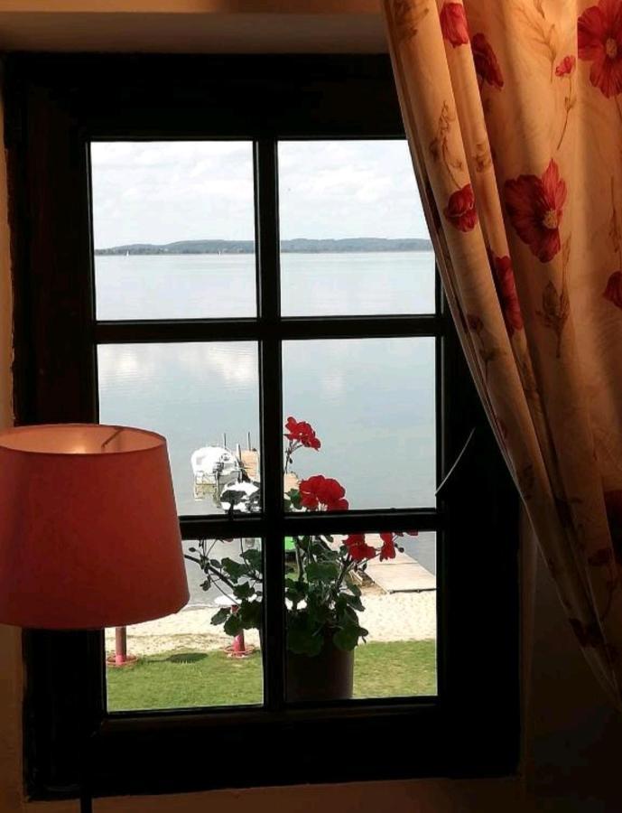 Wiatrak Nowe Guty Bed & Breakfast Exterior foto