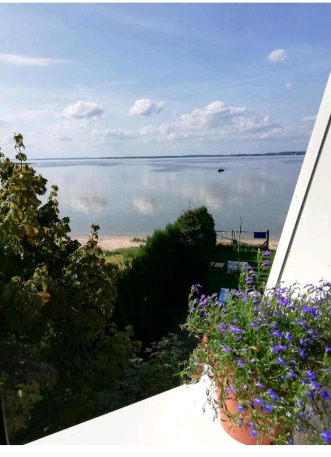 Wiatrak Nowe Guty Bed & Breakfast Exterior foto